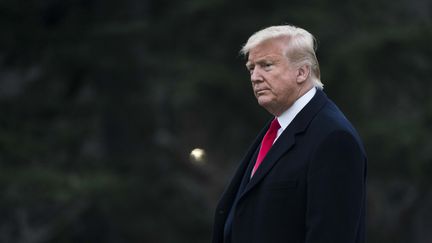 Le président américain, Donald Trump, à Washington, le 28 janvier 2020. (SARAH SILBIGER / GETTY IMAGES NORTH AMERICA / AFP)