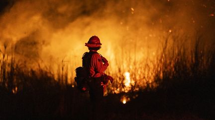 VRAI OU FAUX. Mauvaise gestion, coupes budgétaires, pillages& On a vérifié six affirmations sur les incendies de Los Angeles