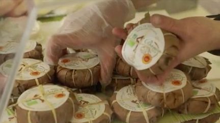 Marchés d'été : le banon, le fromage de chèvre caché 