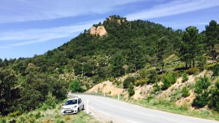 La for&ecirc;t o&ugrave; ont &eacute;t&eacute; retrouv&eacute;s les ossements dans le Var, le 29 avril 2015. (BERNARD PERSIA / FRANCE 3 COTE D'AZUR)