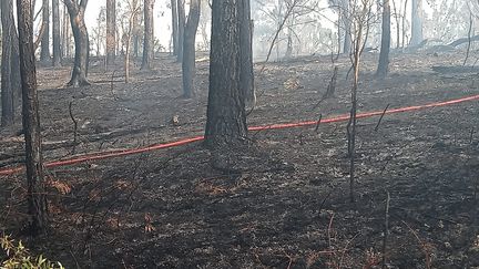 Incendie à Saint-Louis, au Mont-Dore, le jeudi 21 novembre 2024 (DR)