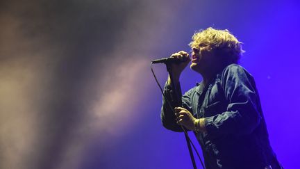 Le chanteur américain Ty Segall se produit sur scène lors du 28e festival de musique rock Eurockeennes, le 2 juillet 2016 à Belfort. (AFP)