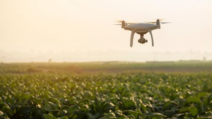 Les drônes sont très utiles dans le domaine professionnel, notamment dans l'agriculture et la construction.&nbsp; (GETTY IMAGES)