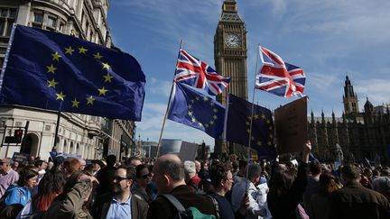 Des militants pro-européens défilent&nbsp;à Londres (Royaume-Uni), samedi 25 mars 2017.&nbsp; (DANIEL LEAL-OLIVAS / AFP)