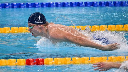 Léon Marchand, engagé dans les séries du 200 m 4 nages, lors de la Coupe du monde en petit bassin à Shanghai (Chine), le 19 octobre 2024. (HECTOR RETAMAL / AFP)