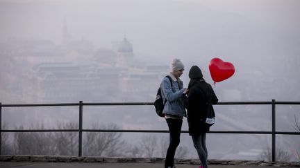 Un couple fête la saint-Valentin. (VINCENT ISORE / MAXPPP)