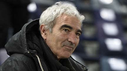 L'ancien entra&icirc;neur des Bleus, Raymond Domenech, le 10 f&eacute;vrier 2015, au stade Jean Bouin, &agrave; Paris. (FRANCK FIFE / AFP)