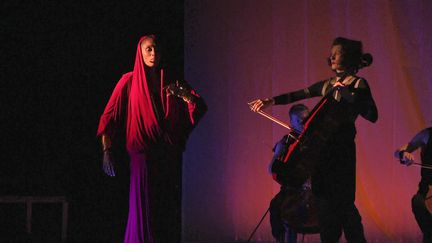 Imany sur la scène des Musicales du Parc des Oiseaux, le&nbsp;9 septembre 2021. (France 3 Rhône-Alpes)