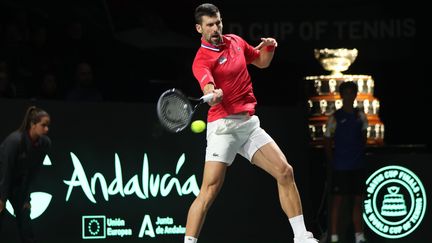 Novak Djokovic lors du quart de finale de la Coupe Davis contre la Grande-Bretagne, le 23 novembre 2023, à Malaga (Espagne). (MAXPPP)