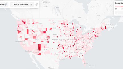 Le résultat de la collecte des données opéré par Google et Facebook est disponible sur une carte mise en ligne, lundi 20 avril 2020. (FACEBOOK)