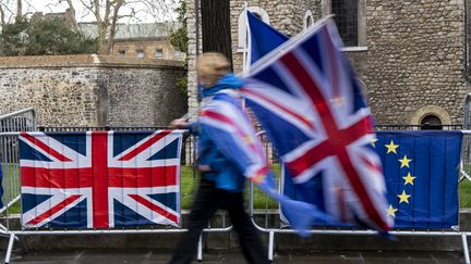 Un manifestant marche près de la Chambre du Parlement, à Londres (Royaume-Uni), le 18 mais 2019. (NIKLAS HALLE'N / AFP)