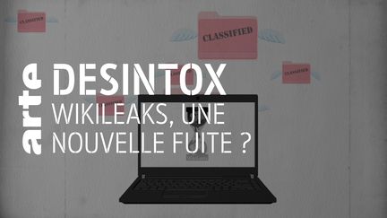 Non, Julian Assange n'a pas fait fuité des milliers de documents secrets (ARTE/LIBÉRATION/2P2L)