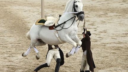 L’équitation classique à la prestigieuse Ecole d’équitation espagnole de Vienne «est l’art traditionnel et la pratique de la reproduction, de l’élevage, du dressage et de la monte des chevaux lipizzans» (race originaire de Slovénie), explique le site de l’Unesco. Le lipizzan, originaire de Slovénie, a été créé par la cour impériale d’Autriche et constitue la plus vieille race de chevaux d’élevage en Europe. Les demonstrations se font à l’école d’équitation d’hiver de la Hofburg, le palais impérial à Vienne. (REUTERS - Heinz-Peter Bader)