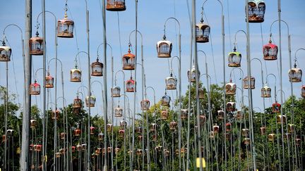 Des volatiles en cages sont expos&eacute;s lors d'un concours de chant d'oiseaux dans la province de Narathiwat (Tha&iuml;lande), le 24 septembre 2012. (MADAREE TOHLALA / AFP)