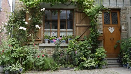 En Belgique, les façades fleuries font partie des corridors écologiques. (ISABELLE MORAND / RADIO FRANCE / FRANCE INFO)