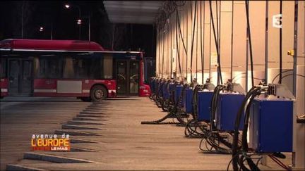 Les bus de&nbsp;Stockholm roulent&nbsp;au biogaz. (FRANCE 3 / FRANCETV INFO)