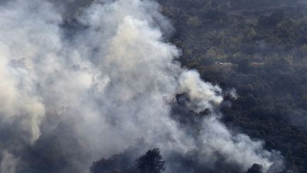 Des pompiers algériens combattent un incendie de forêt dans la région d'Ait Daoud, dans le nord de l'Algérie, le 13 août 2021. (RYAD KRAMDI / AFP)