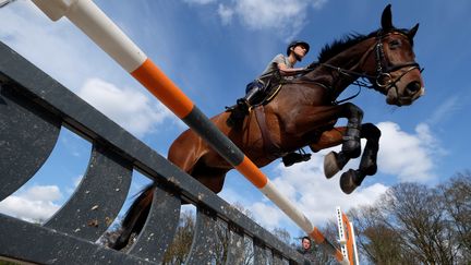 Entraînement de saut d'obstacles en Allemagne, le 22 avril 2016. (PATRIK STOLLARZ / AFP)