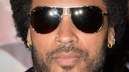 Lenny Kravitz en 2013.
 (Frazer Harrison / Getty Images / AFP)