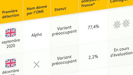 Connaissances sur les&nbsp;principaux variants du Sars-CoV-2 au 16 juillet 2021. (JESSICA KOMGUEN / FRANCEINFO)