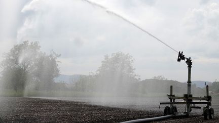 Arrosage des champs pour lutter contre le manque de précipitations, le 10 mai 2022 à Muttersholtz (Alsace). Photo d'illustration. (FRANCK DELHOMME / MAXPPP)