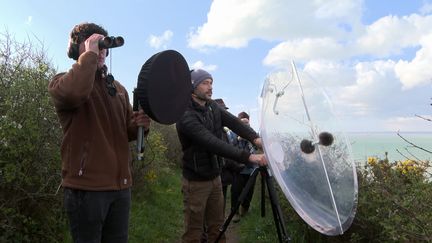 Annuaire audio chant des oiseaux (France 3 Normandie)