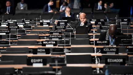 Des participants à la COP24, le 4 décembre 2018.&nbsp; (JANEK SKARZYNSKI / AFP)