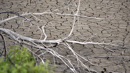 La sécheresse reste préoccupante à Carcassonne (Aude), le 20 août 2023. (CHRISTOPHE BARREAU / MAXPPP)