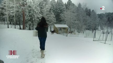 Dans les montagnes Rocheuses, "Complément d'enquête" a rencontré des activistes qui attendent l'effondrement (COMPLÉMENT D'ENQUÊTE/FRANCE 2)