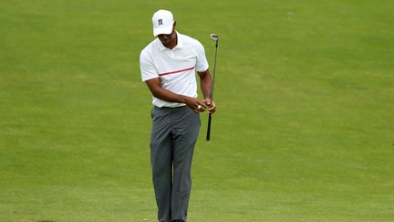 Tiger Woods  (ANDY LYONS / GETTY IMAGES NORTH AMERICA)