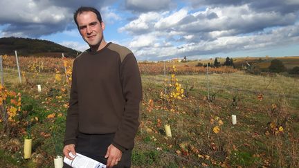 Frédéric Berne, président de&nbsp;l'association&nbsp;"Vignerons et terroirs de Lantignié", dans le Beaujolais (GUILLAUME GAVEN/RADIOFRANCE)