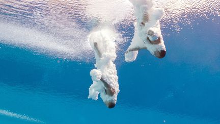 Vacances : les piscines, un enjeu majeur de sécurité