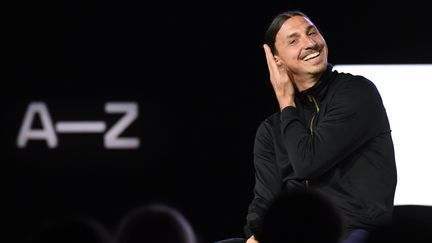 Zlatan Ibrahimovic, lors d'une conférence de presse à Paris, le 7 juin 2016.&nbsp; (MARCUS ERICSSON / TT NEWS AGENCY / AFP)