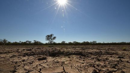 Troisième année consécutive de sécheresse en Australie. (AFP/Peter Parks)