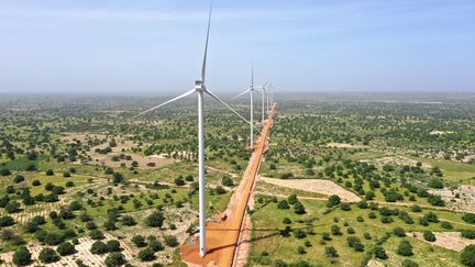 Des éoliennes de la centrale de Taïba Ndiaye (ouest du Sénégal), présentée comme la plus importante du genre en Afrique de l'Ouest. Photo prise le 23 octobre 2019. (ADRIEN BARBIER / AFP)