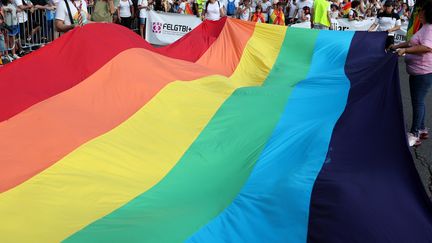 Un drapeau LGBT (photo d'illustration). (PIERRE-PHILIPPE MARCOU / AFP)