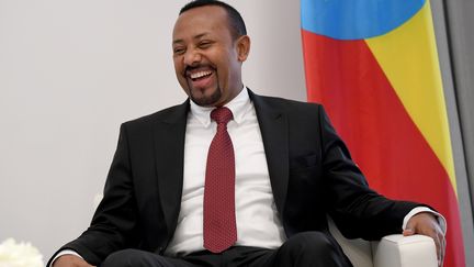 &nbsp;Abiy Ahmed, le 28 janvier 2019 en Ethiopie à Addis Abeba. (BRITTA PEDERSEN / DPA)