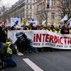 Des manifestants réclament l'interdiction du recours aux grenades par les forces de l'ordre, lors d'un rassemblement à Paris, le 2 février 2019. (MARIE MAGNIN / HANS LUCAS)