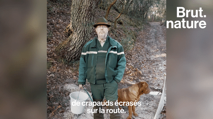 Pour rejoindre l’étang pour se reproduire, ces crapauds doivent traverser une route, où ils risquent de se faire écraser. Pour les protéger, ils ont alors créé un “crapaudrome”. Brut s’est rendu en Gironde.