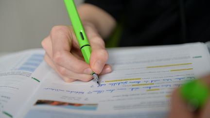 Un élève fait ses devoirs, à Osterode-am-Harz, en Allemagne, le 3 mars 2016.&nbsp; (FRANK MAY / PICTURE ALLIANCE / AFP)