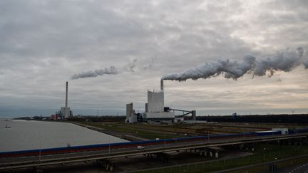 Une centrale au charbon à&nbsp;Wilhelmshaven (Allemagne), le 26 novembre 2018.&nbsp; (MOHSSEN ASSANIMOGHADDAM / DPA / AFP)