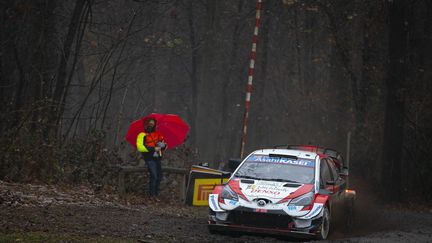 Sébastien Oier (Toyota) dans le parc du circuit de Monza (GREGORY LENORMAND / DPPI)