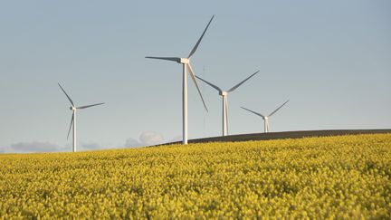 Développement durable : les éoliennes n'ont plus le vent en poupe chez les riverains