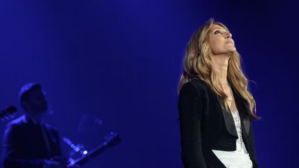 Céline Dion à l'Accor Hotels Arena à Paris le 24 juin 2016. 
 (PHILIPPE LOPEZ / AFP)