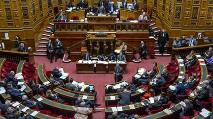 &nbsp; (Le projet de loi Macron est maintenant attendu au Sénat © MAXPPP)