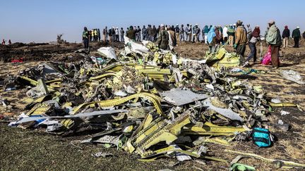 Un tas rassemblant les débris du crash du Boeing 737 de la&nbsp;Ethiopian Airlines&nbsp;près de&nbsp;Bishoftu (Ethiopie), le 11 mars 2019. (MICHAEL TEWELDE / AFP)