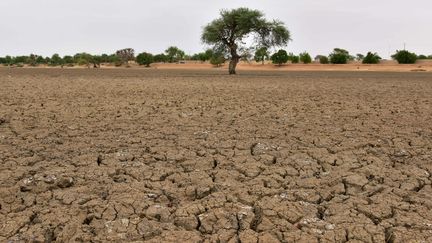 La région autour de Diffa, dans le sud-est du Niger, le 20 juin 2016.&nbsp; (ISSOUF SANOGO / AFP)