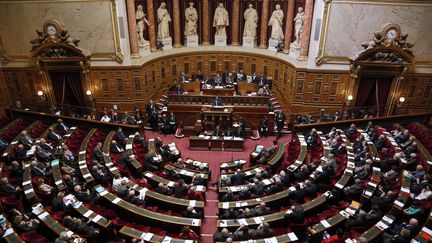 L'h&eacute;micycle du S&eacute;nat, le 9 avril 2014. (FRANCOIS GUILLOT / AFP)