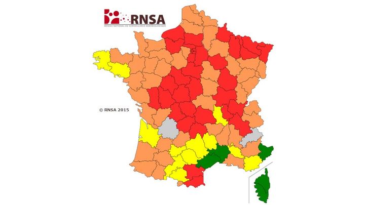 &nbsp; (Carte prévisionnelle des risques d'allergie pour cette semaine par le RNSA. capture d'écran du site pollens.fr)