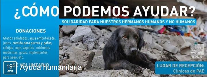 Image affichée en haut de la page Facebook de l'Association "Activitas por la Defensa y Liberacion Animal" de Quito (Equateur) (CAMILO CEVALLOS PARRA)